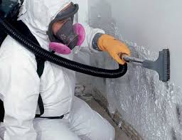 Best Mold Remediation for Vacation Homes  in Manasquan, NJ